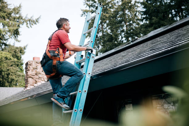 Best Sheet Metal Roofing  in Meridian, CO