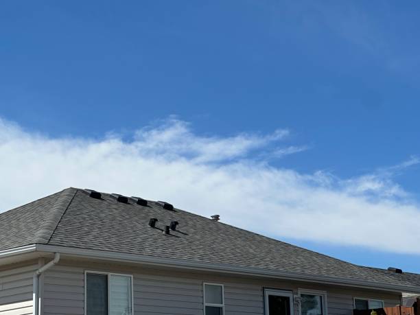 Best 4 Ply Roofing  in Meridian, CO